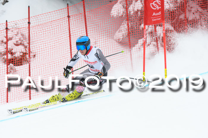 FIS, Int. Dt. Meisterschaft Abfahrt, Training, Damen + Herren, 19.03.2019