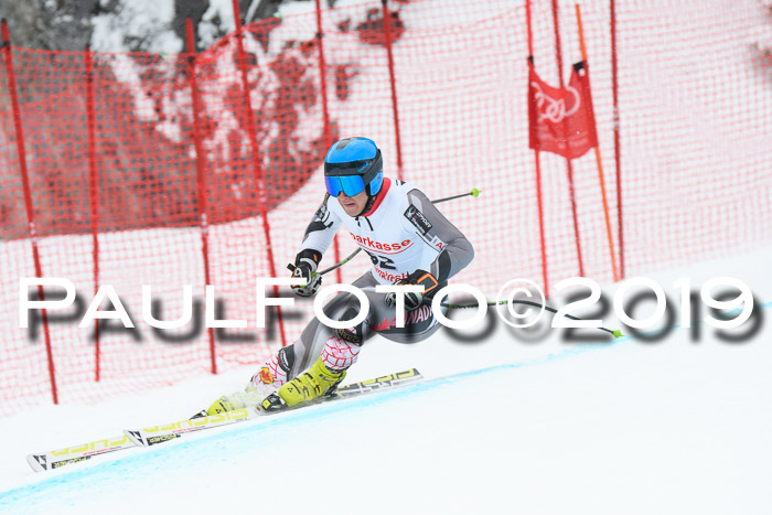 FIS, Int. Dt. Meisterschaft Abfahrt, Training, Damen + Herren, 19.03.2019
