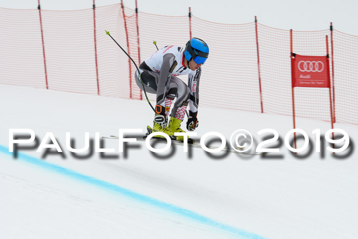 FIS, Int. Dt. Meisterschaft Abfahrt, Training, Damen + Herren, 19.03.2019