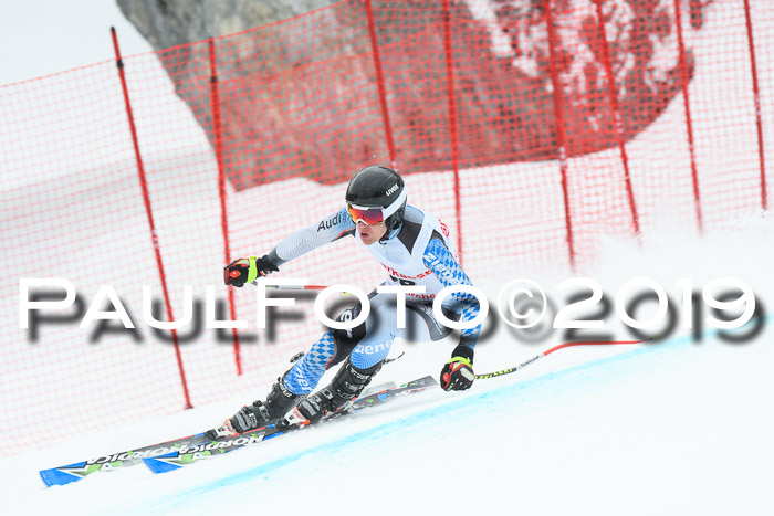 FIS, Int. Dt. Meisterschaft Abfahrt, Training, Damen + Herren, 19.03.2019
