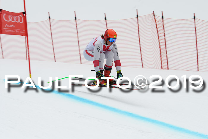 FIS, Int. Dt. Meisterschaft Abfahrt, Training, Damen + Herren, 19.03.2019