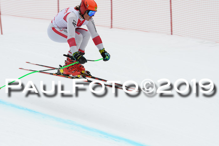 FIS, Int. Dt. Meisterschaft Abfahrt, Training, Damen + Herren, 19.03.2019