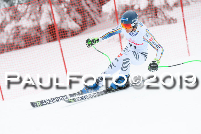 FIS, Int. Dt. Meisterschaft Abfahrt, Training, Damen + Herren, 19.03.2019