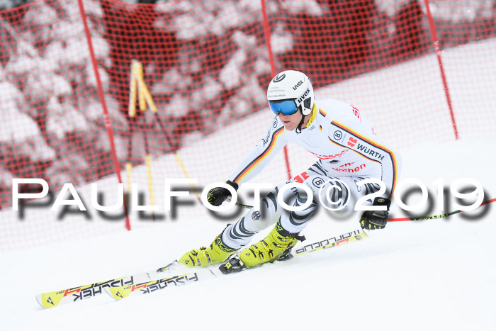 FIS, Int. Dt. Meisterschaft Abfahrt, Training, Damen + Herren, 19.03.2019