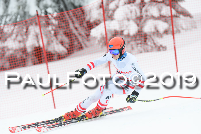 FIS, Int. Dt. Meisterschaft Abfahrt, Training, Damen + Herren, 19.03.2019