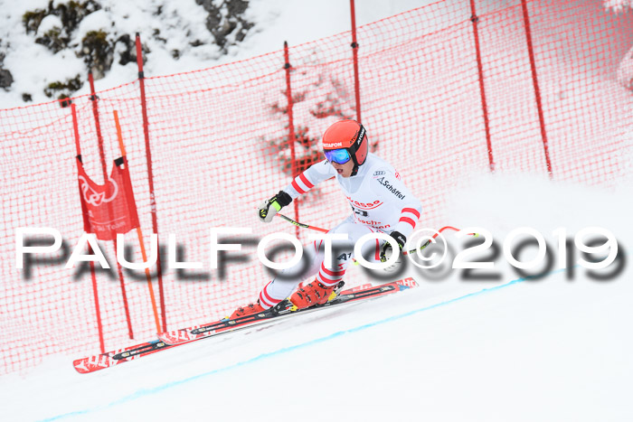 FIS, Int. Dt. Meisterschaft Abfahrt, Training, Damen + Herren, 19.03.2019