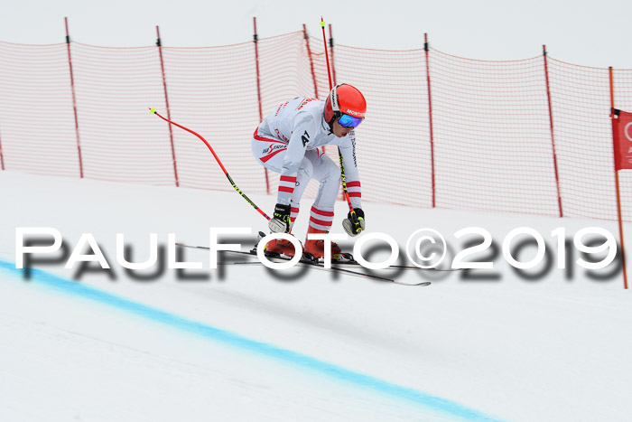 FIS, Int. Dt. Meisterschaft Abfahrt, Training, Damen + Herren, 19.03.2019