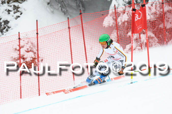 FIS, Int. Dt. Meisterschaft Abfahrt, Training, Damen + Herren, 19.03.2019