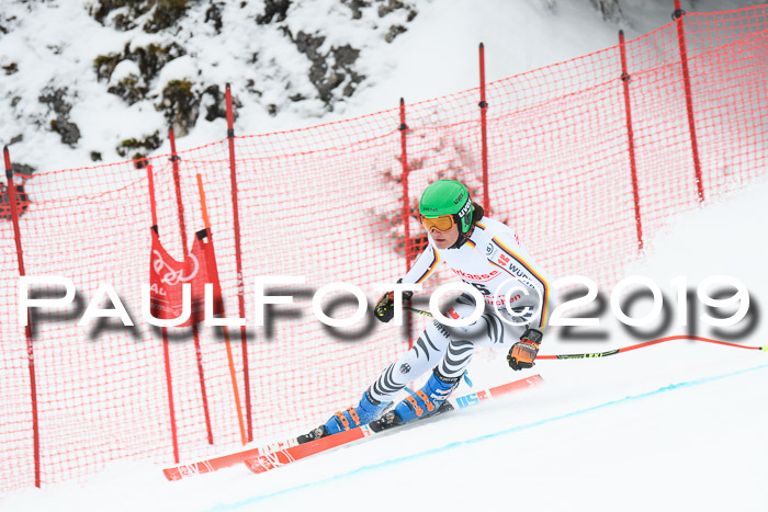 FIS, Int. Dt. Meisterschaft Abfahrt, Training, Damen + Herren, 19.03.2019