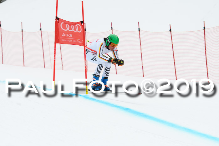 FIS, Int. Dt. Meisterschaft Abfahrt, Training, Damen + Herren, 19.03.2019
