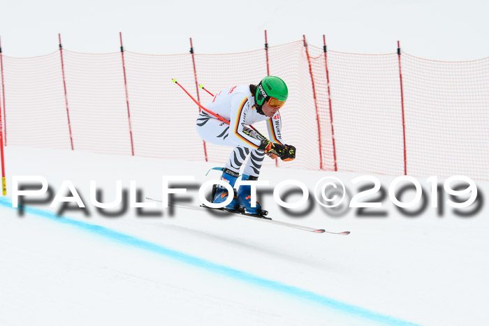 FIS, Int. Dt. Meisterschaft Abfahrt, Training, Damen + Herren, 19.03.2019