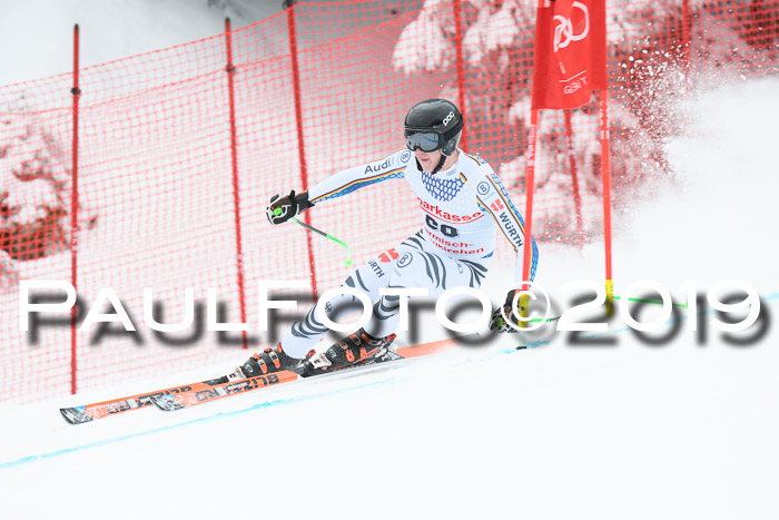 FIS, Int. Dt. Meisterschaft Abfahrt, Training, Damen + Herren, 19.03.2019