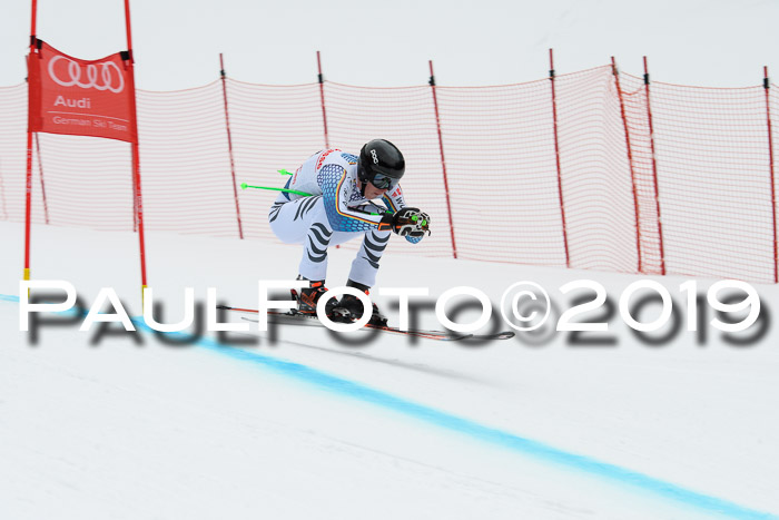 FIS, Int. Dt. Meisterschaft Abfahrt, Training, Damen + Herren, 19.03.2019