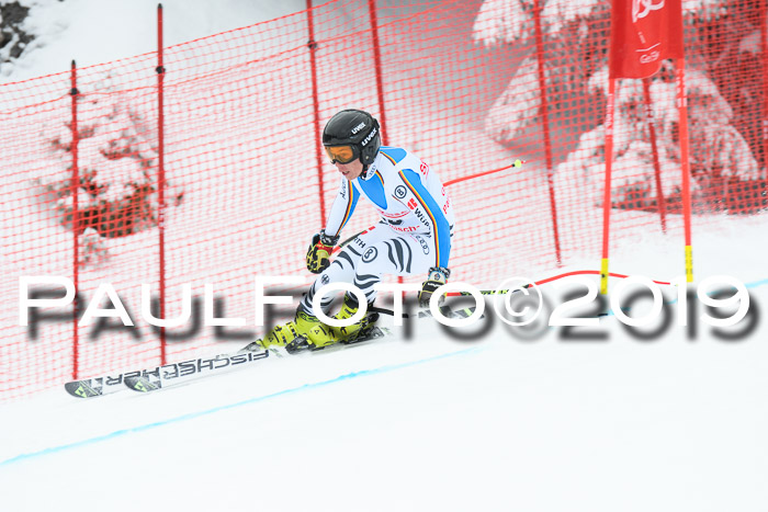 FIS, Int. Dt. Meisterschaft Abfahrt, Training, Damen + Herren, 19.03.2019