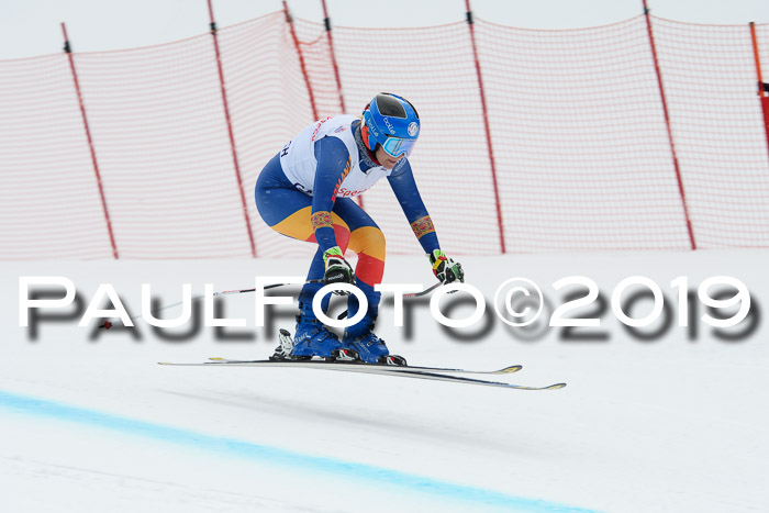 FIS, Int. Dt. Meisterschaft Abfahrt, Training, Damen + Herren, 19.03.2019