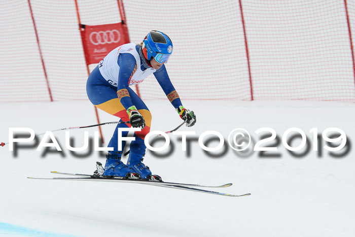FIS, Int. Dt. Meisterschaft Abfahrt, Training, Damen + Herren, 19.03.2019