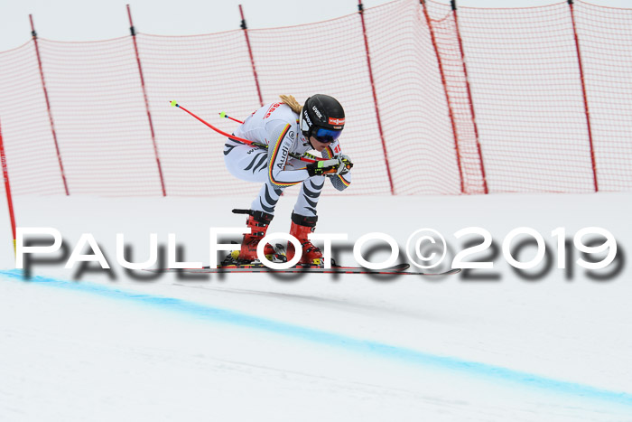 FIS, Int. Dt. Meisterschaft Abfahrt, Training, Damen + Herren, 19.03.2019