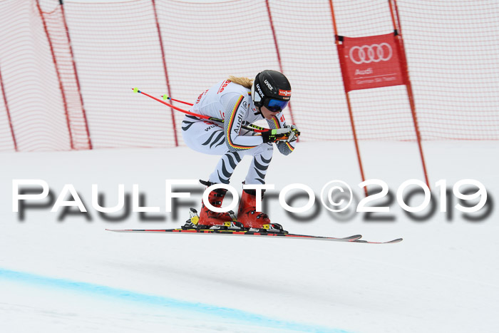 FIS, Int. Dt. Meisterschaft Abfahrt, Training, Damen + Herren, 19.03.2019