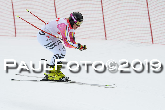 FIS, Int. Dt. Meisterschaft Abfahrt, Training, Damen + Herren, 19.03.2019