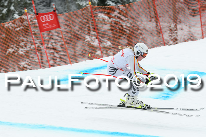FIS, Int. Dt. Meisterschaft Abfahrt, Training, Damen + Herren, 19.03.2019
