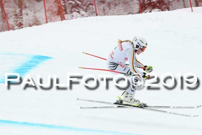 FIS, Int. Dt. Meisterschaft Abfahrt, Training, Damen + Herren, 19.03.2019