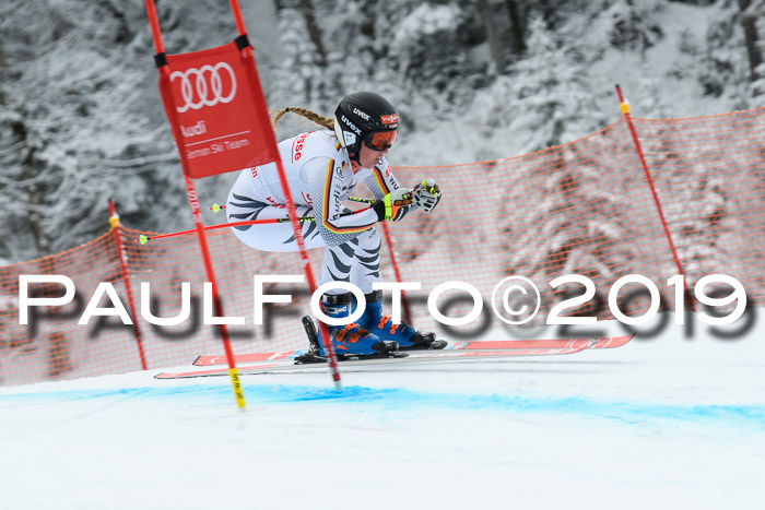 FIS, Int. Dt. Meisterschaft Abfahrt, Training, Damen + Herren, 19.03.2019