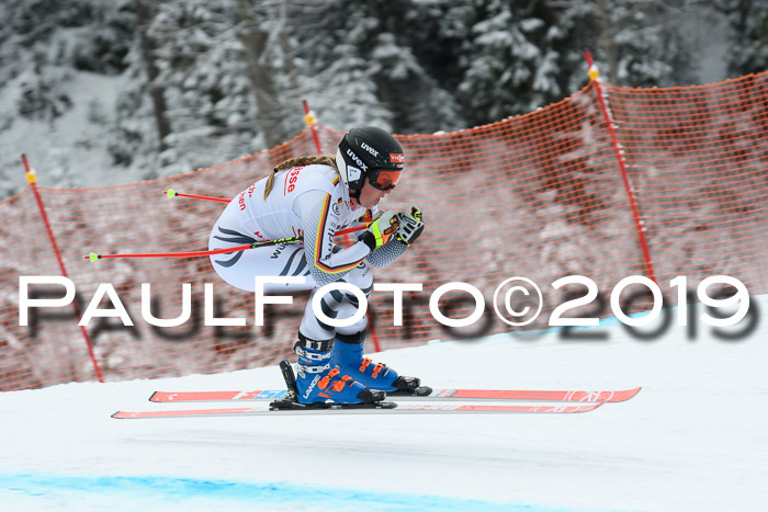 FIS, Int. Dt. Meisterschaft Abfahrt, Training, Damen + Herren, 19.03.2019
