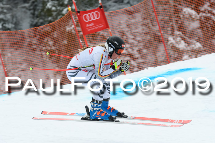 FIS, Int. Dt. Meisterschaft Abfahrt, Training, Damen + Herren, 19.03.2019