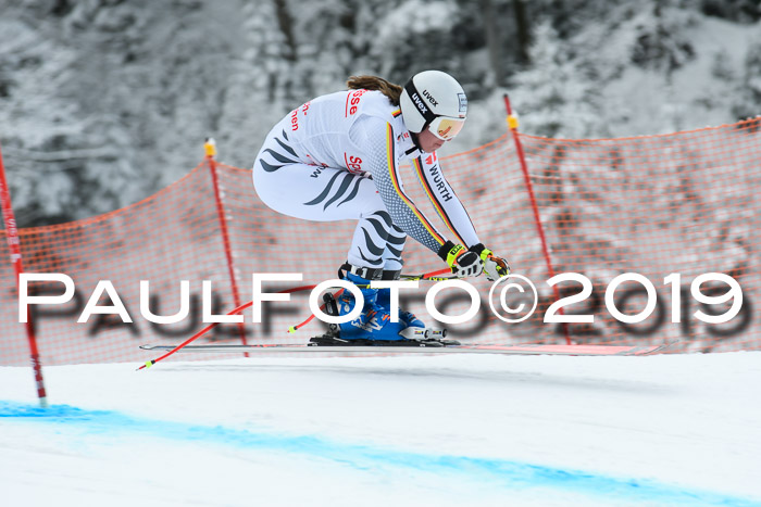 FIS, Int. Dt. Meisterschaft Abfahrt, Training, Damen + Herren, 19.03.2019