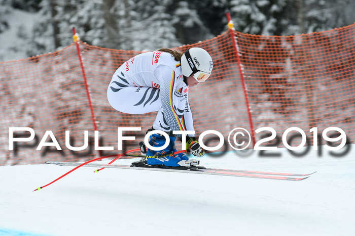 FIS, Int. Dt. Meisterschaft Abfahrt, Training, Damen + Herren, 19.03.2019