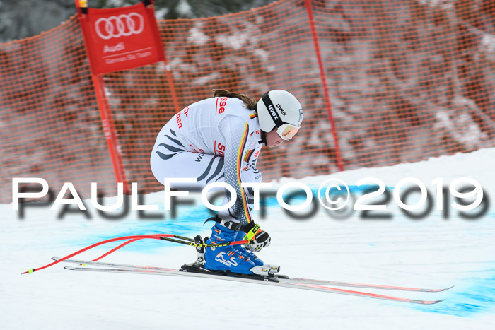 FIS, Int. Dt. Meisterschaft Abfahrt, Training, Damen + Herren, 19.03.2019