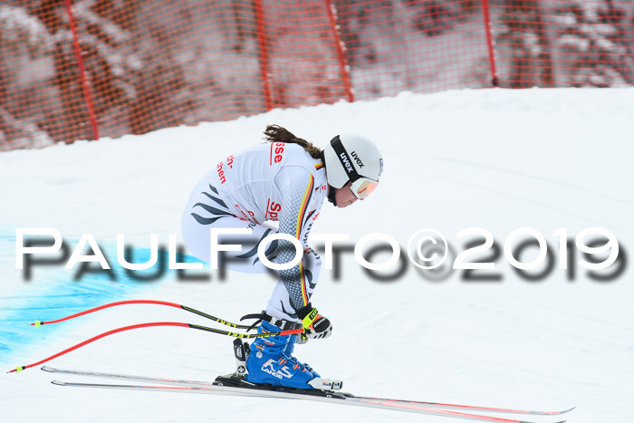 FIS, Int. Dt. Meisterschaft Abfahrt, Training, Damen + Herren, 19.03.2019