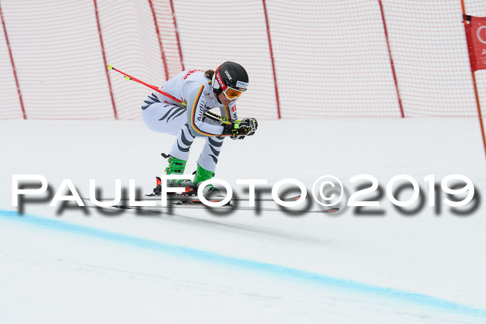 FIS, Int. Dt. Meisterschaft Abfahrt, Training, Damen + Herren, 19.03.2019