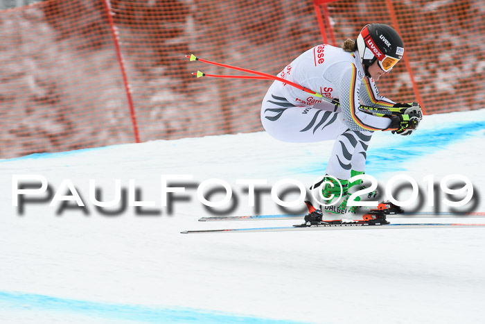 FIS, Int. Dt. Meisterschaft Abfahrt, Training, Damen + Herren, 19.03.2019
