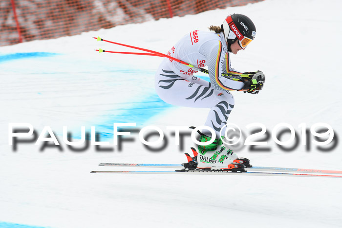 FIS, Int. Dt. Meisterschaft Abfahrt, Training, Damen + Herren, 19.03.2019