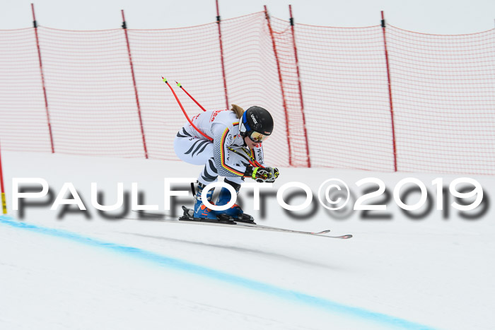 FIS, Int. Dt. Meisterschaft Abfahrt, Training, Damen + Herren, 19.03.2019
