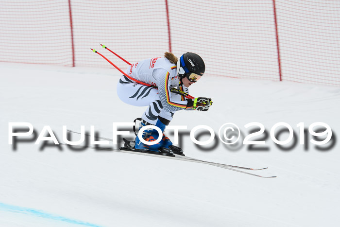 FIS, Int. Dt. Meisterschaft Abfahrt, Training, Damen + Herren, 19.03.2019