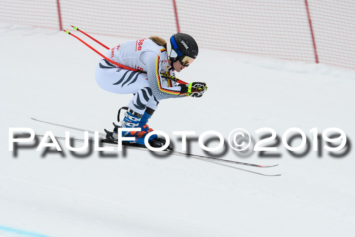 FIS, Int. Dt. Meisterschaft Abfahrt, Training, Damen + Herren, 19.03.2019