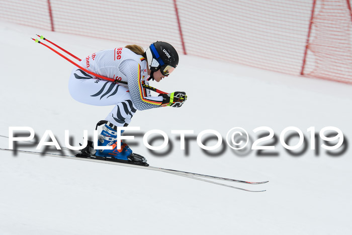 FIS, Int. Dt. Meisterschaft Abfahrt, Training, Damen + Herren, 19.03.2019