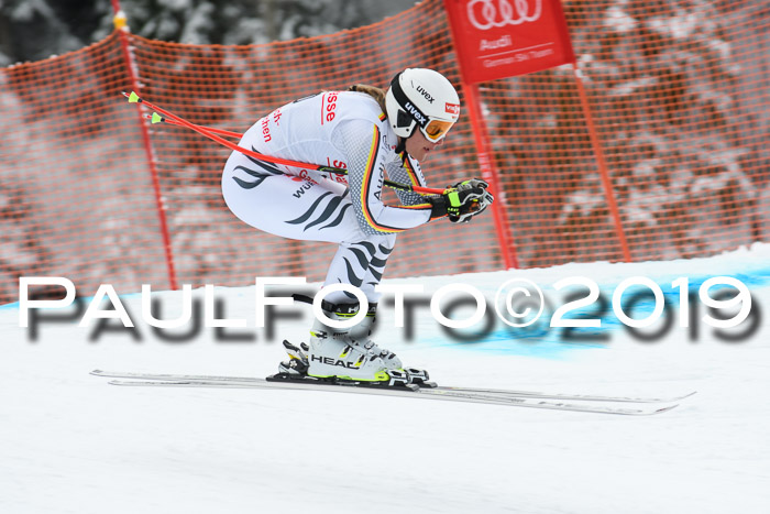 FIS, Int. Dt. Meisterschaft Abfahrt, Training, Damen + Herren, 19.03.2019