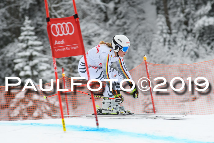 FIS, Int. Dt. Meisterschaft Abfahrt, Training, Damen + Herren, 19.03.2019