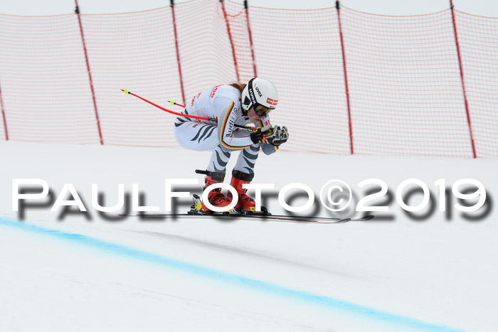 FIS, Int. Dt. Meisterschaft Abfahrt, Training, Damen + Herren, 19.03.2019