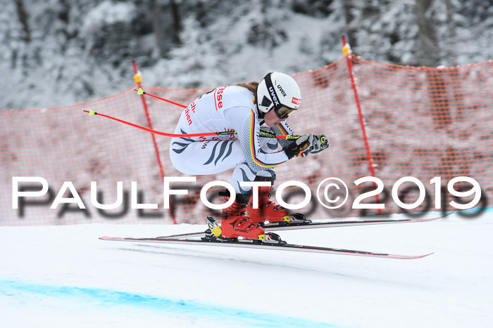 FIS, Int. Dt. Meisterschaft Abfahrt, Training, Damen + Herren, 19.03.2019