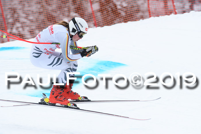 FIS, Int. Dt. Meisterschaft Abfahrt, Training, Damen + Herren, 19.03.2019