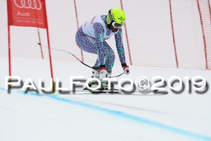 FIS, Int. Dt. Meisterschaft Abfahrt, Training, Damen + Herren, 19.03.2019
