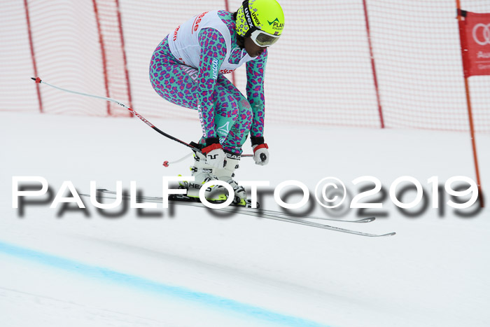 FIS, Int. Dt. Meisterschaft Abfahrt, Training, Damen + Herren, 19.03.2019