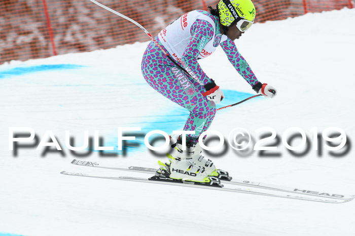 FIS, Int. Dt. Meisterschaft Abfahrt, Training, Damen + Herren, 19.03.2019