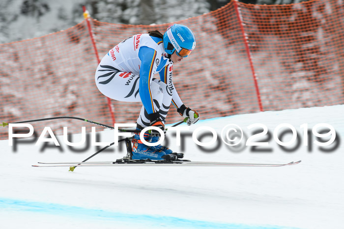 FIS, Int. Dt. Meisterschaft Abfahrt, Training, Damen + Herren, 19.03.2019
