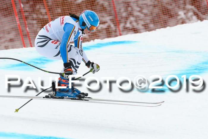 FIS, Int. Dt. Meisterschaft Abfahrt, Training, Damen + Herren, 19.03.2019