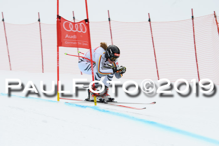 FIS, Int. Dt. Meisterschaft Abfahrt, Training, Damen + Herren, 19.03.2019